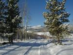 Winter Scene #1 - Circle Park, Bighorn National Forest, west of Buffalo, Wyoming