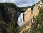 Yellowstone National Park #1